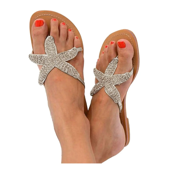 Casanova Sea Star Slides