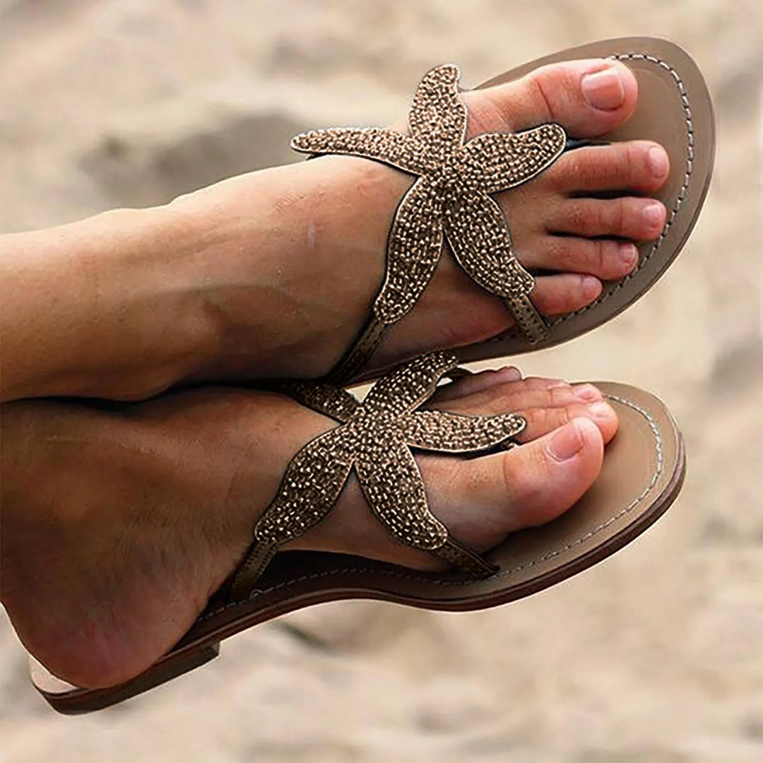 Casanova Sea Star Slides